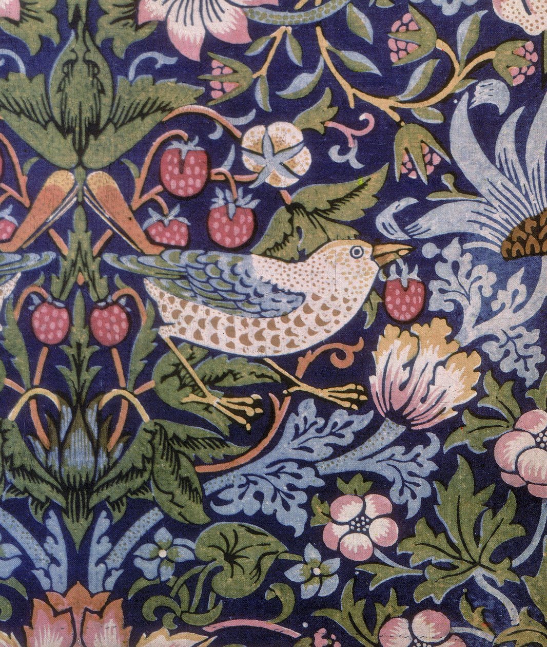 草莓小偷窗帘，1883年（印花纺织品） 作者 威廉·莫里斯