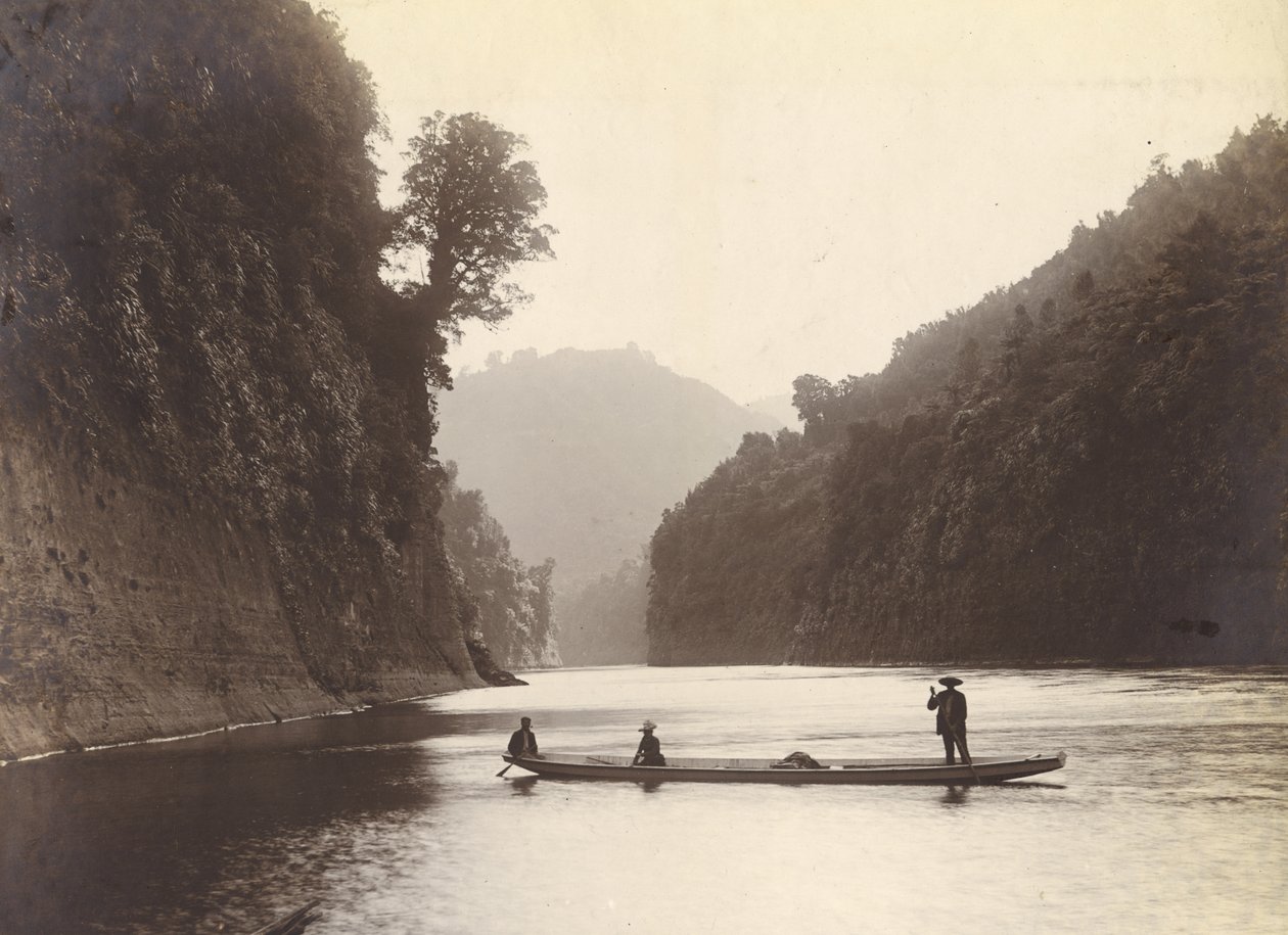 旺格努伊河，1905年（银色明胶印刷） 作者 威廉·帕丁顿