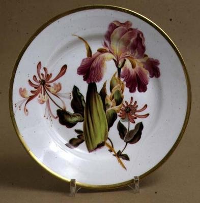 德比甜点盘装饰着虹膜和金银花，c.1795（瓷器） 作者 威廉·奎克（William Quaker）归因于佩格