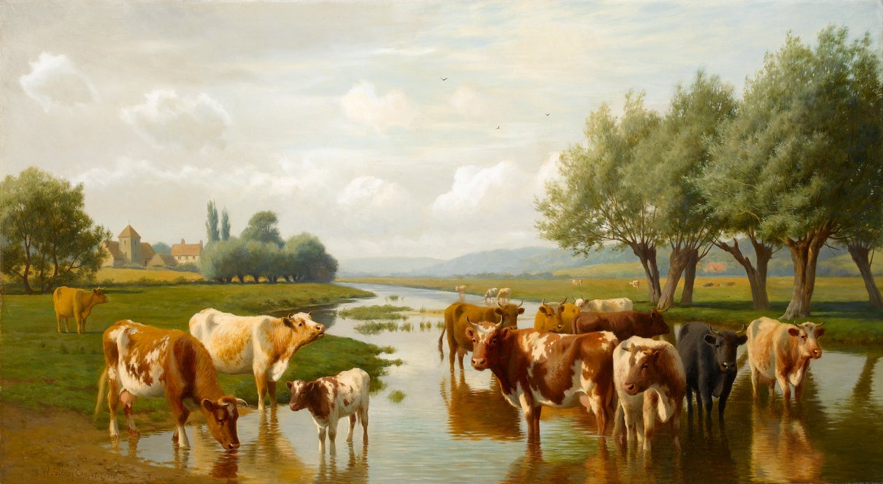 牛在一个水草甸在Thanington，肯特附近，1901年 作者 威廉·西德尼·库珀