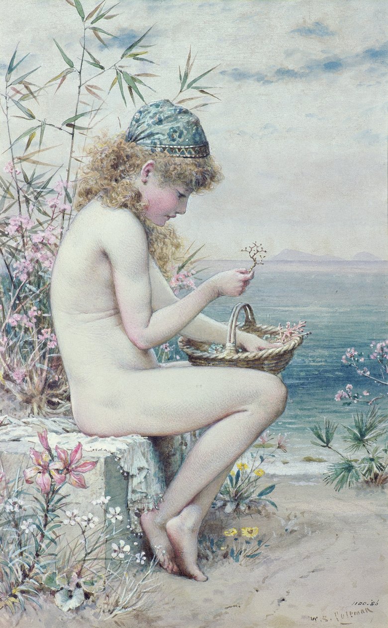 有珊瑚篮子的女孩 作者 威廉·斯蒂芬·科尔曼
