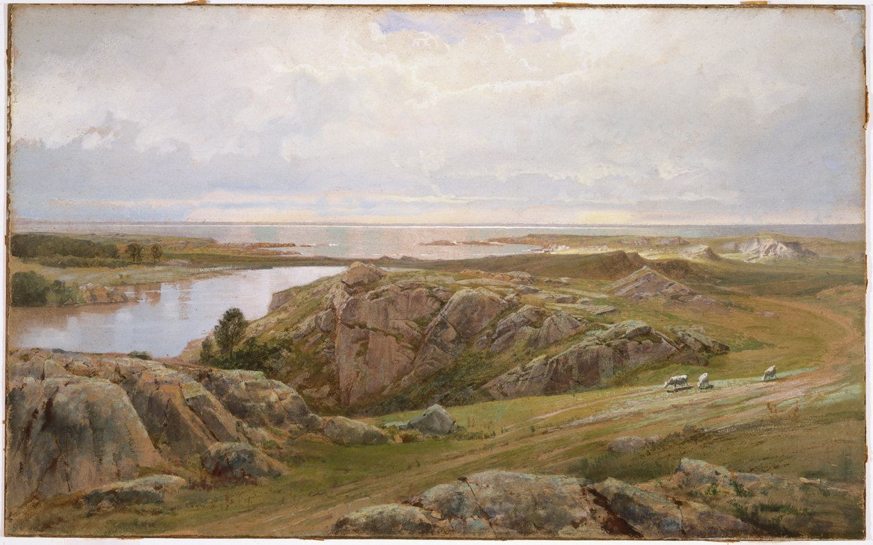 Lily Pond，纽波特，1877年（纸上写着） 作者 威廉·特罗斯特·理查兹