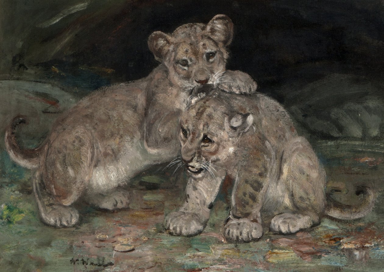 狮子熊，c.1906 作者 威廉·沃尔斯