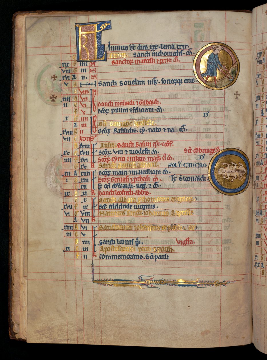 6月，322 f.3v女士，男子除草，来自&39;De Brailes Psalter&39;的插图，c.1250 作者 威廉·德·布雷莱斯