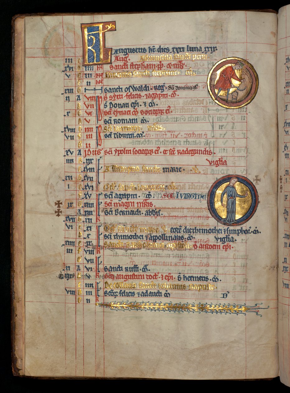 八月份，322 f.4v女士，一名男子切玉米，插图来自&39;De Brailes Psalter&39;，c.1250 作者 威廉·德·布雷莱斯