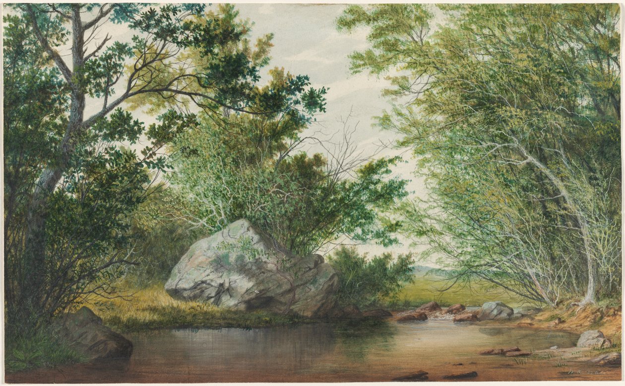 景观与树木繁茂的溪流和巨石，c。 1880年代。 作者 威廉·艾伦·沃尔