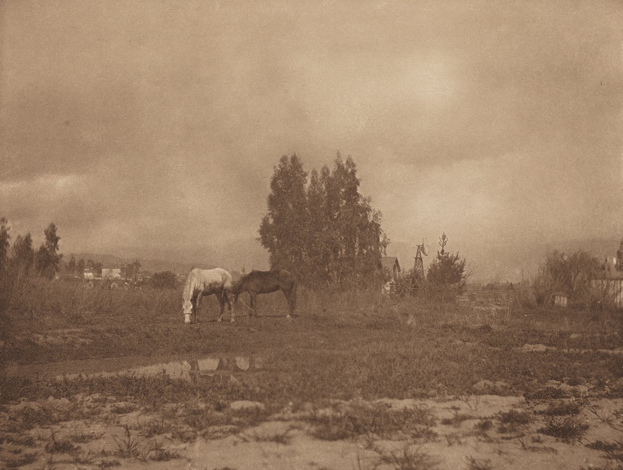 帕萨迪纳风景，1899年。 作者 威廉·B·波斯特