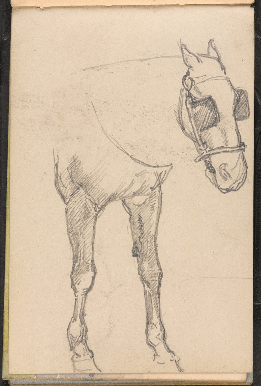马与眨眼的素描，约1879年 作者 威廉·巴恩斯（William Barnes）羊毛