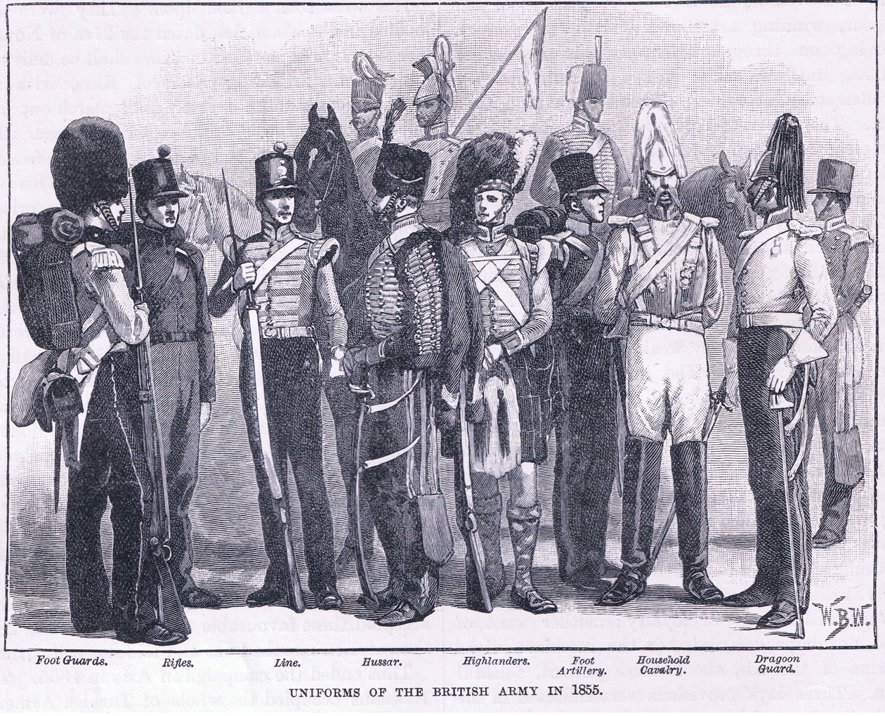 公元1855年英国军队的制服 作者 威廉·巴恩斯（William Barnes）羊毛