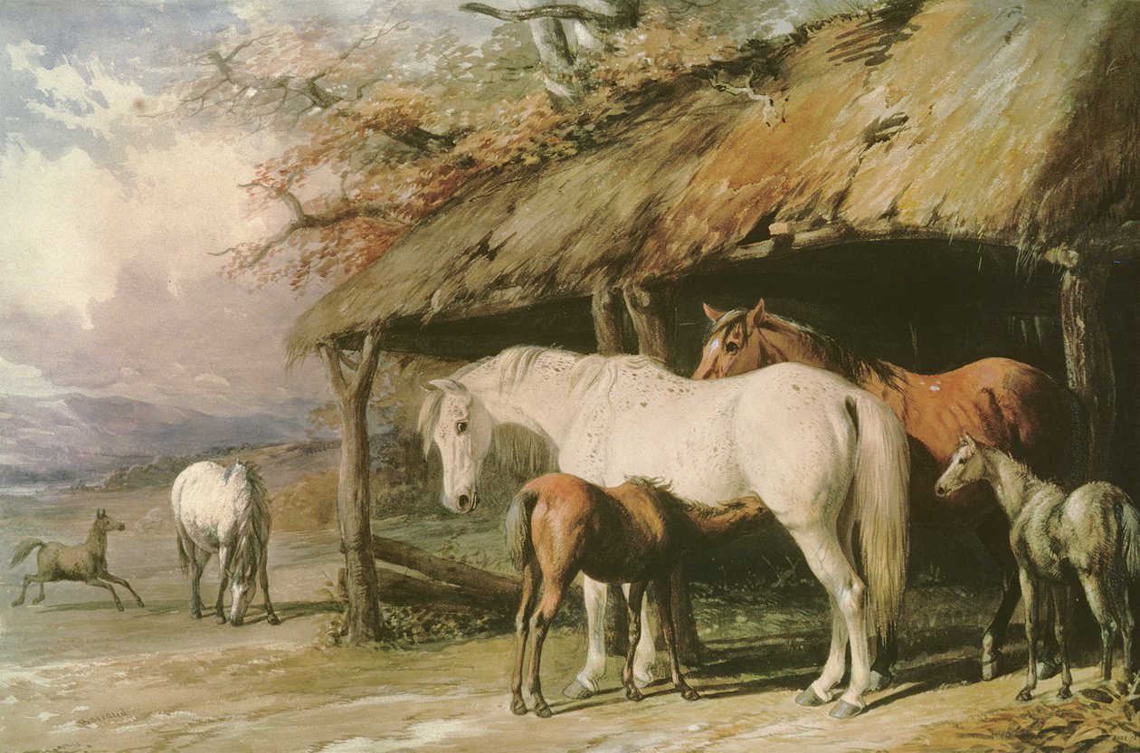 Mares和Foals，19世纪 作者 威廉·巴罗