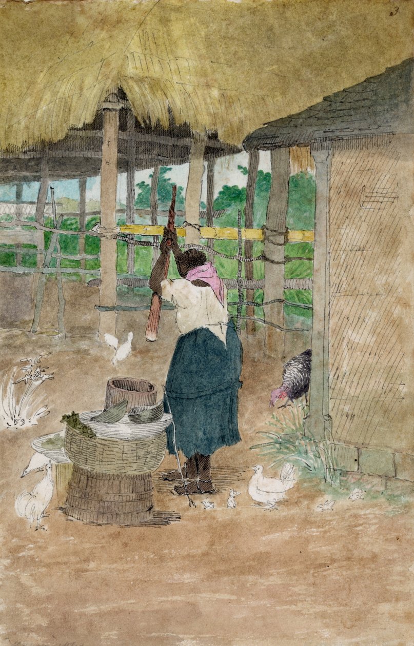 威廉-贝里曼（William Berryman）创作的《打木薯的女人》，牙买加，1808-1816 年间活跃于牙买加。 作者 威廉·贝瑞曼