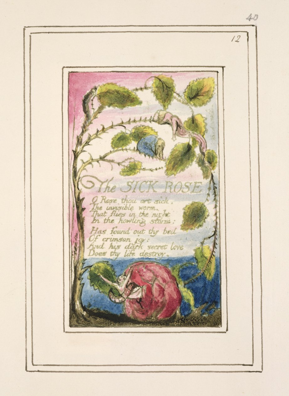 P.124-1950.pt40 Sick Rose：来自“纯真和经验之歌”的第40页（复制R）c.1802-08（蚀刻，墨水和wc） 作者 威廉·布雷克