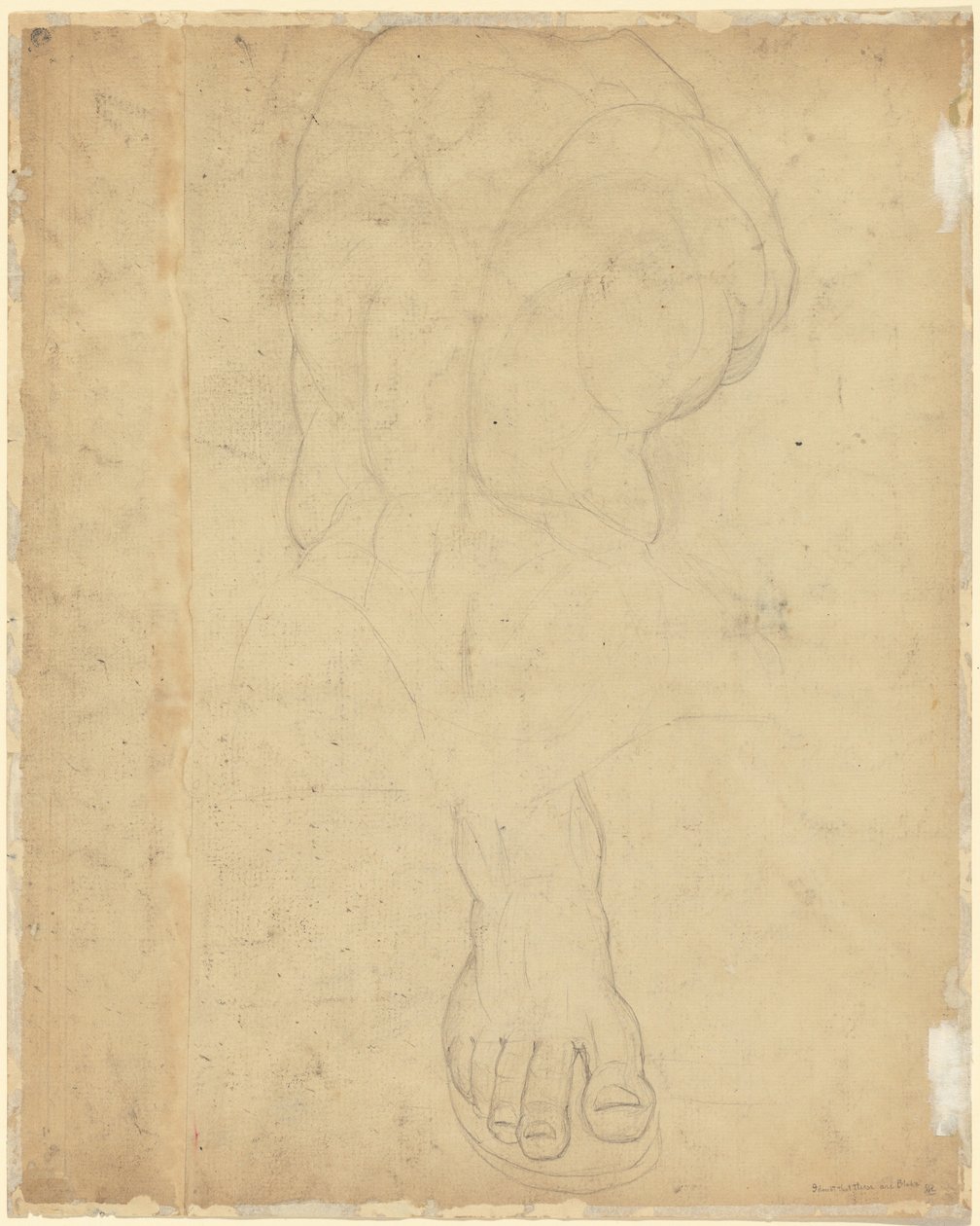 Belvedere Torso[背面]。 作者 威廉·布雷克