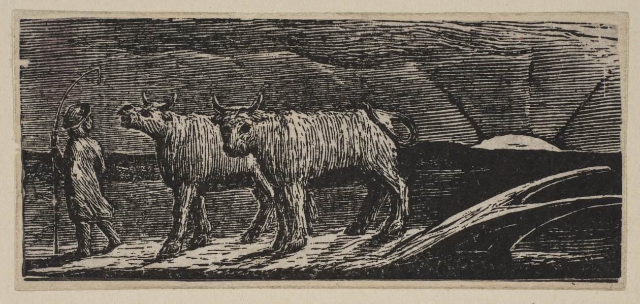 Unyokd小母牛，游荡的家园，来自维吉尔的桑顿牧场，1821年。 作者 威廉·布雷克