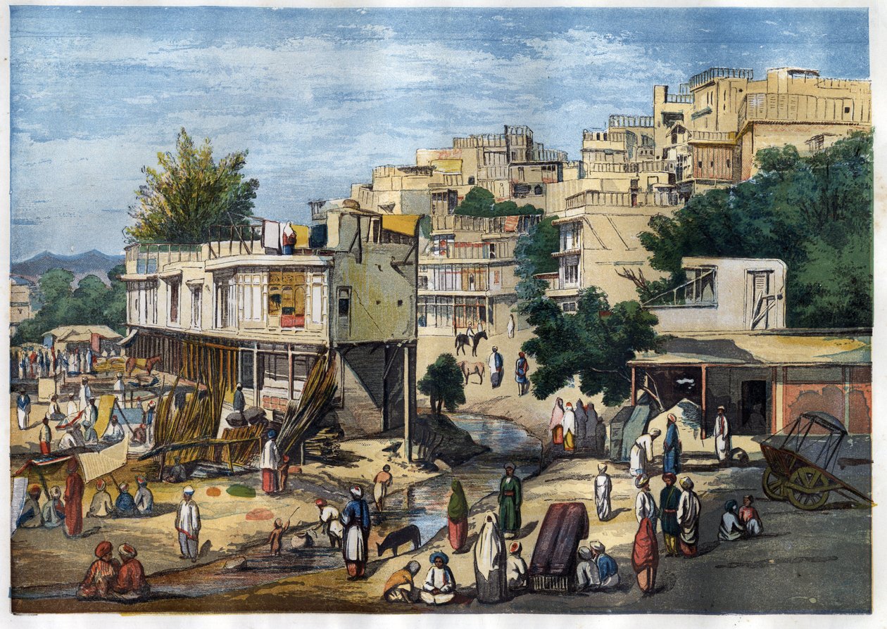 View of Peshawar, Pakistan 作者 威廉·卡彭特