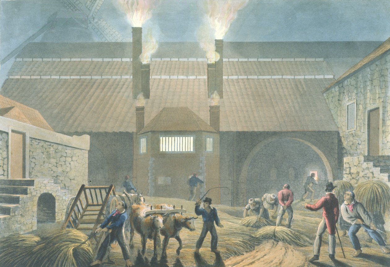 Boiling House的外观，来自“安提瓜岛的十景”，1823年 作者 威廉·克拉克