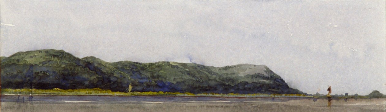 Point Sikree Gully, Rajmahal Hills》，印度，1843年 作者 威廉·克莱里休