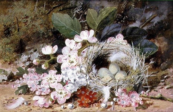 樱花鸟巢静物画 作者 威廉·克鲁克申克
