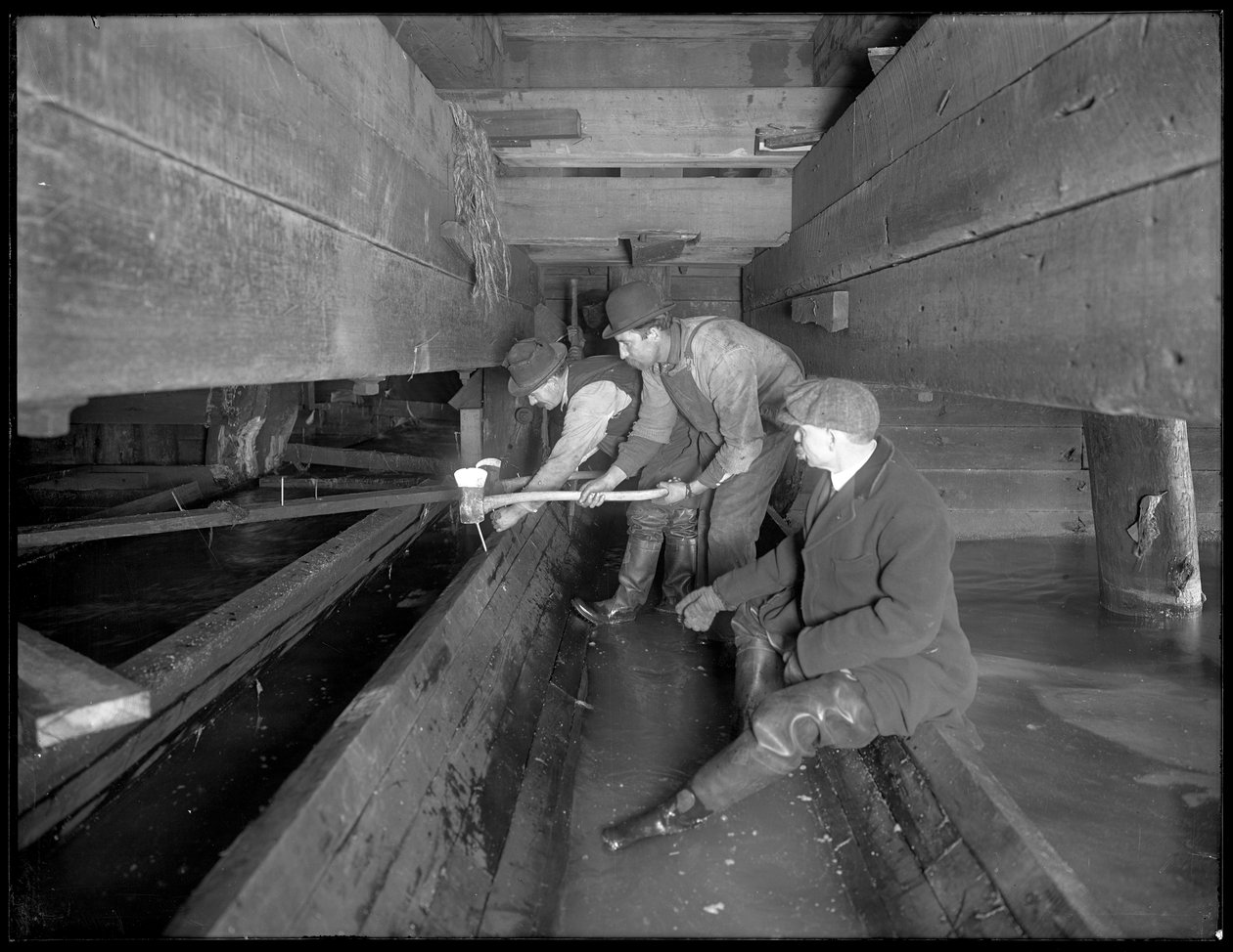 男子在纽约W. 129th Street下水道工作，1911年 作者 威廉·戴维斯·哈斯勒
