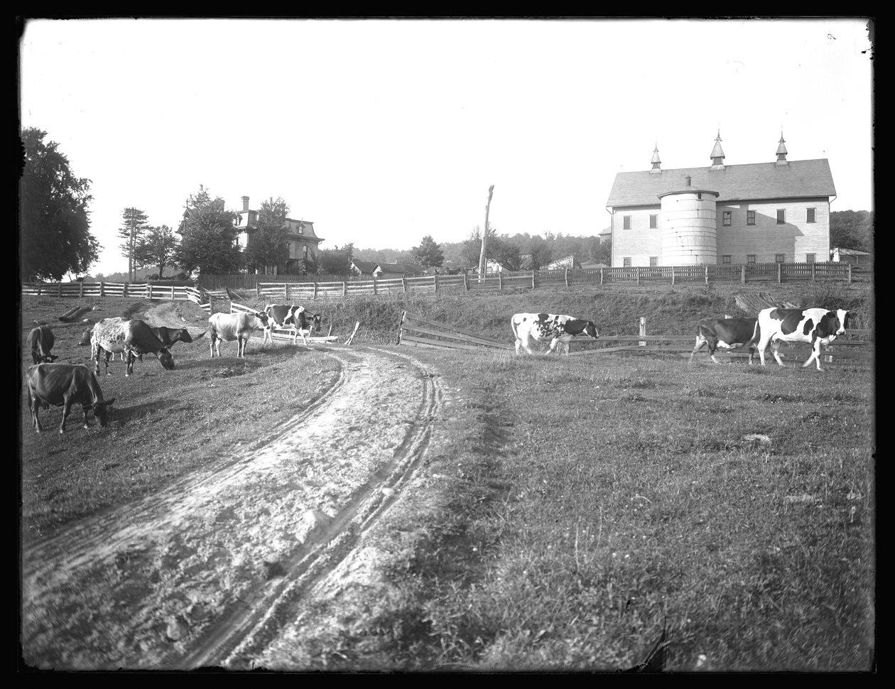 McCready农场谷仓和宾夕法尼亚州托马斯住所，c.1913 作者 威廉·戴维斯·哈斯勒
