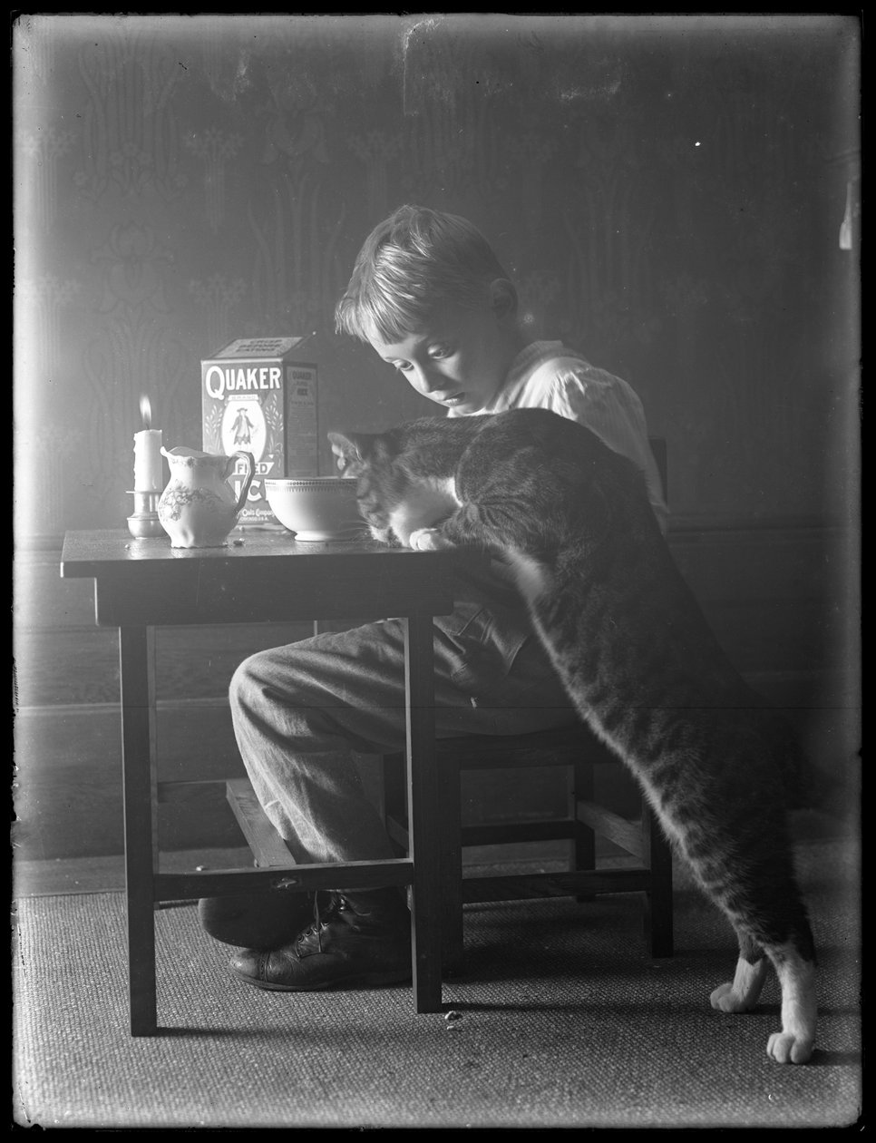 威廉·格雷·哈斯勒（William Gray Hassler）和雷迪（Reddy）的猫，吃了Quaker膨化的米糊，c.1912 作者 威廉·戴维斯·哈斯勒