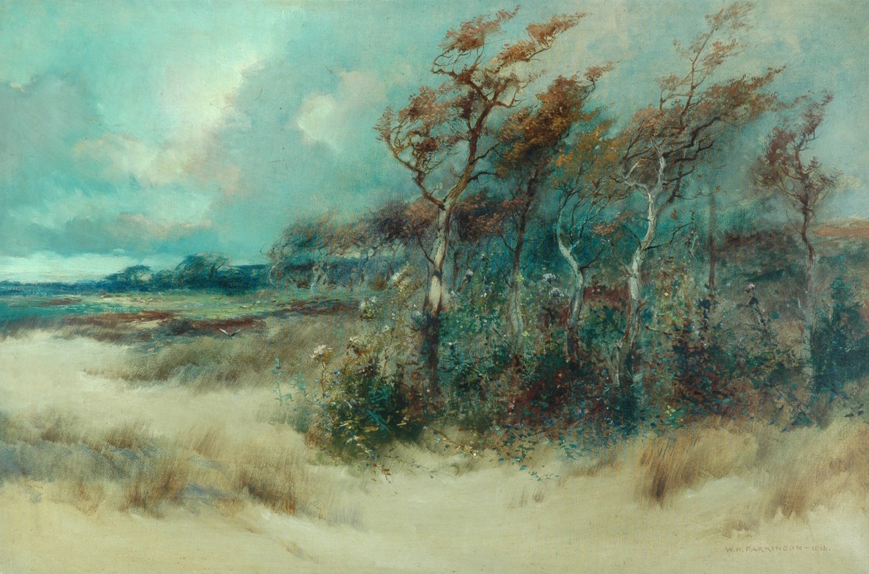 1916年，Heysham，Sandy Lane的树木 作者 威廉·帕金森