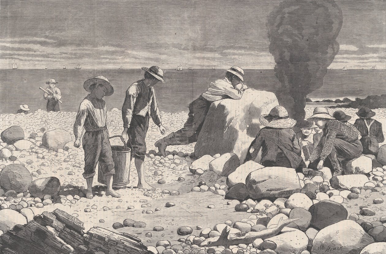 海边的素描--蛤蜊的烘烤 哈珀周刊，第十七卷，1873年8月23日。   作者 威廉·H·雷丁