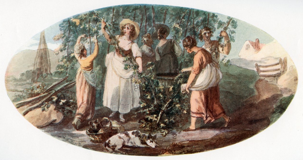 Hop Hop Picking，1912年。 作者 威廉·汉密尔顿