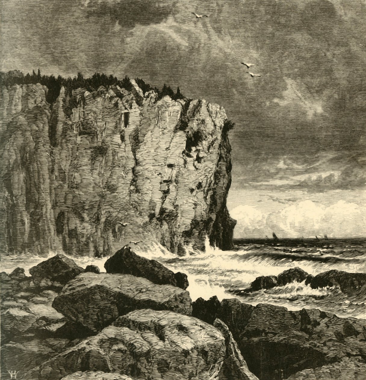 海狸湾附近的悬崖》，1872年。   作者 威廉·哈特