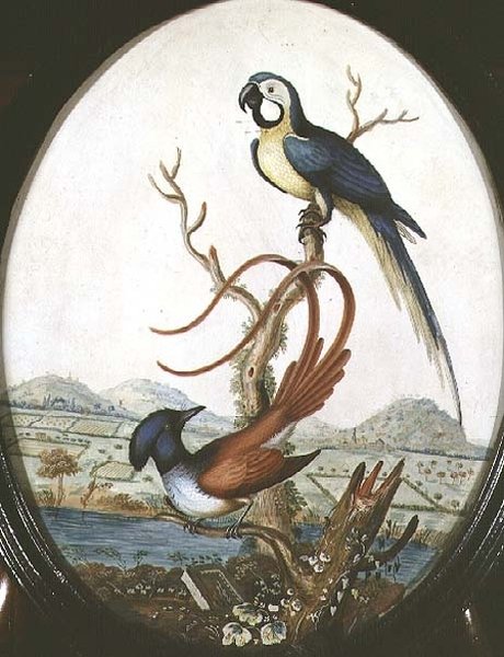 Lyrebird and Jay 作者 威廉·海斯