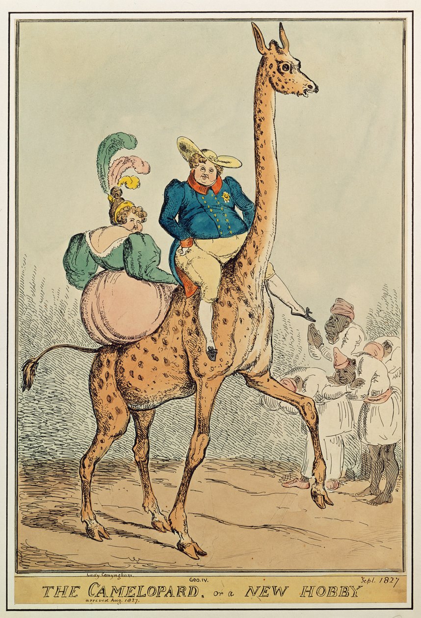 Camelopard，或新的爱好，1827年（彩色雕刻） 作者 威廉·希思