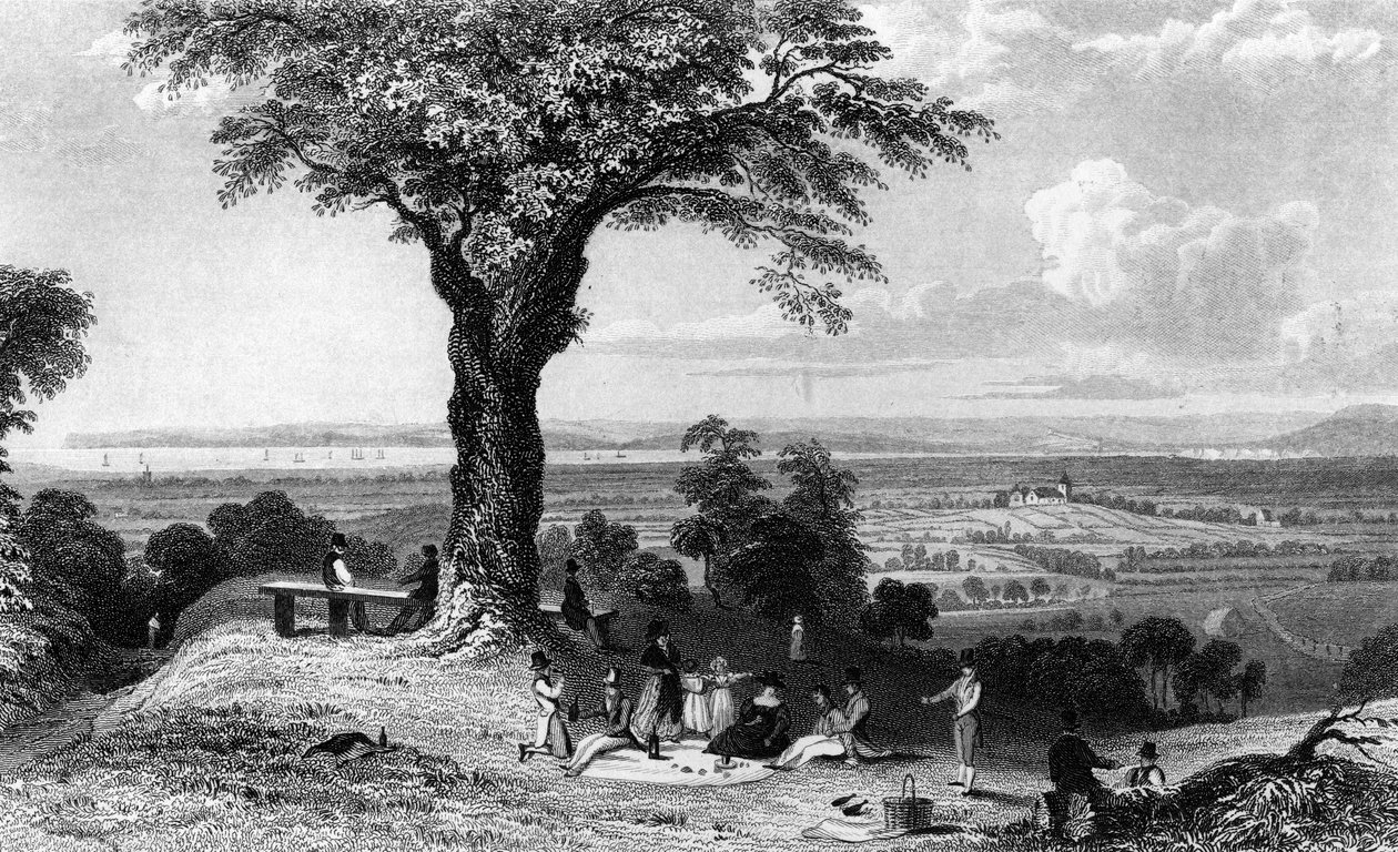 1832年亨利·沃利斯（Henry Wallis）雕刻的莱恩登山（Laindon Hill），位于艾塞克斯（Essex）的霍恩登（Horndon）附近 作者 威廉·亨利·巴特利特
