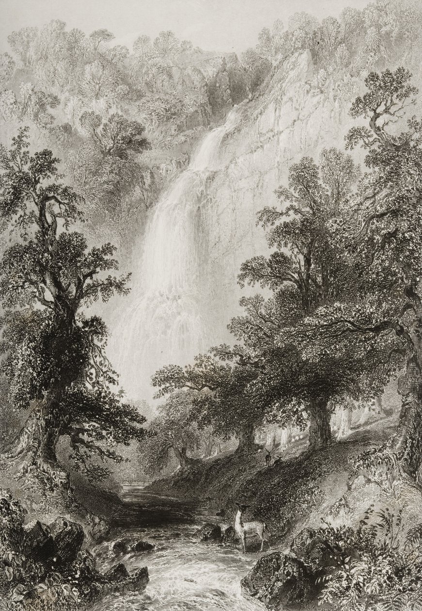 瀑布，Powerscourt，威克洛郡，爱尔兰，来自&39;爱尔兰的风景和古物&39;，由George Virtue，1860年代 作者 威廉·亨利·巴特利特