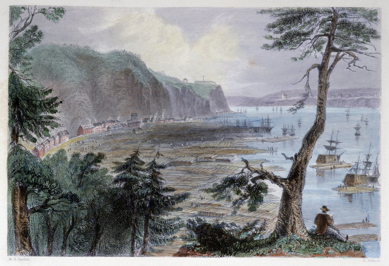 Timber Déposition près de Québec - 在 Bartlett W. H. 作者 威廉·亨利·巴特利特