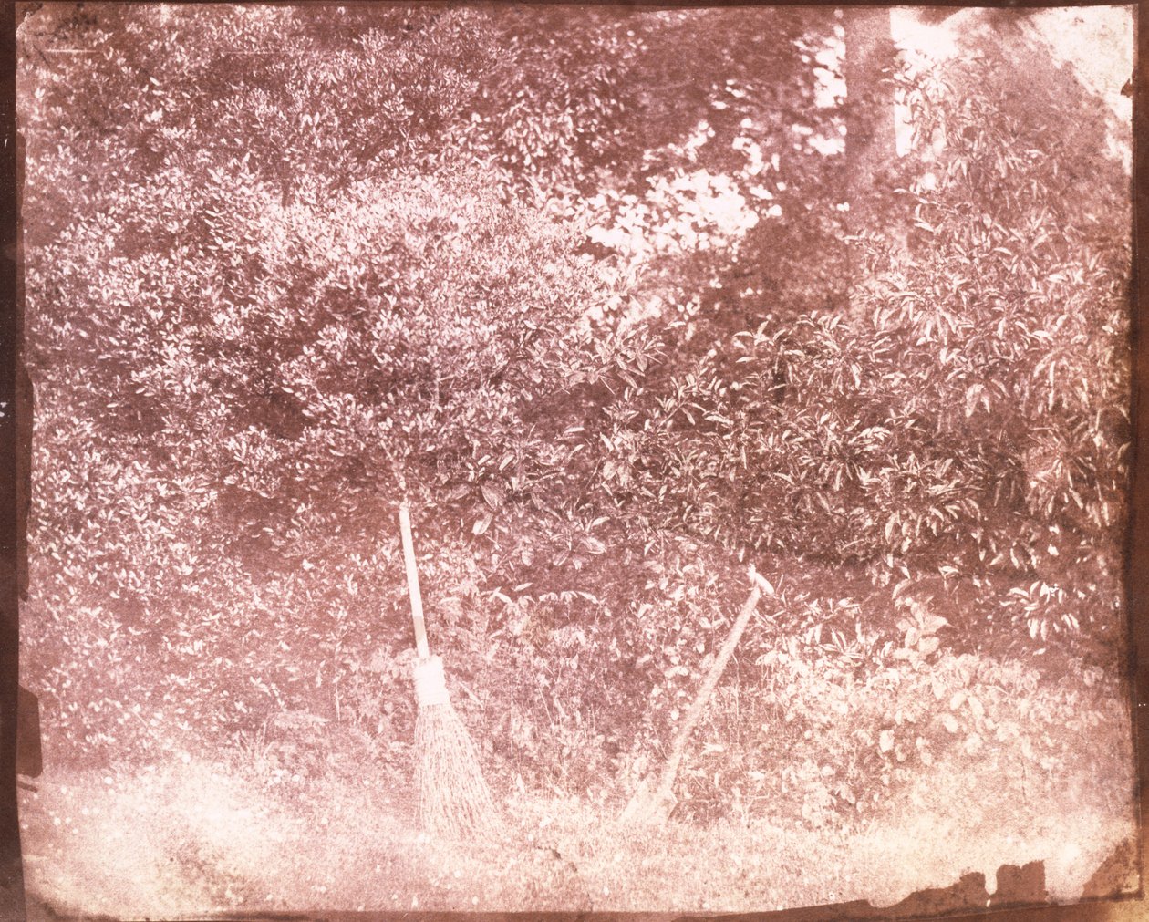 Broom and Spade，1842 作者 威廉·亨利·福克斯·塔尔伯特