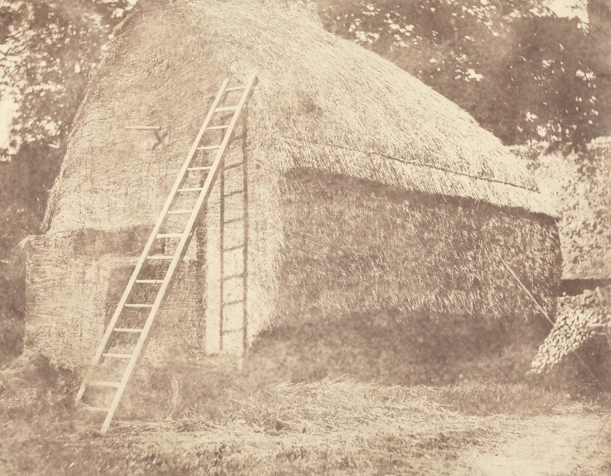 干草堆，1844 年（照片） 作者 威廉·亨利·福克斯·塔尔伯特