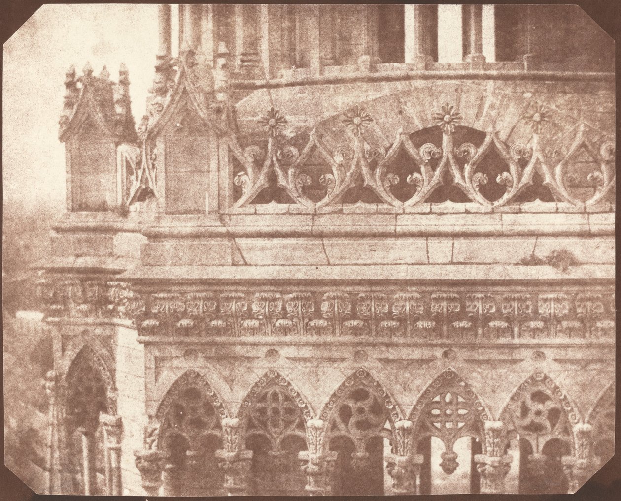 Orléans Cathedral 作者 威廉·亨利·福克斯·塔尔伯特