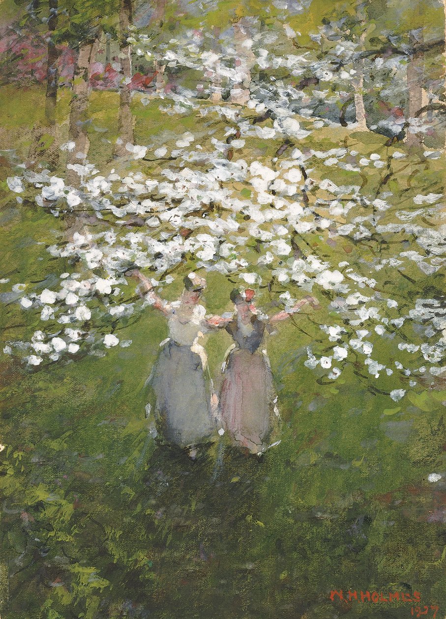 昙花一现，1927年。 作者 威廉·亨利·福尔摩斯