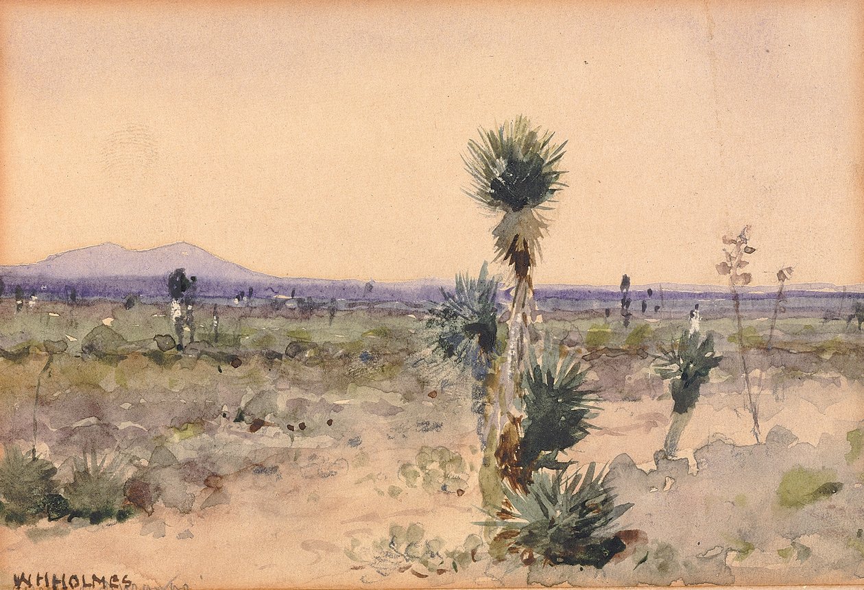 Yuccaland--Chihuahua, Mexico, n.a. 作者 威廉·亨利·福尔摩斯