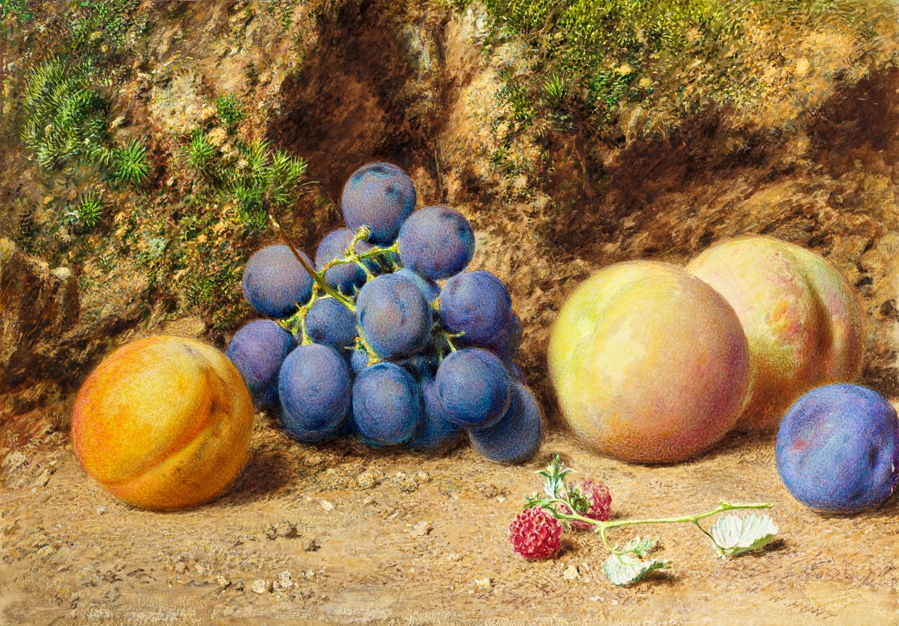 黑葡萄，桃子，杏子和覆盆子，c.1860 作者 威廉·亨利·亨特