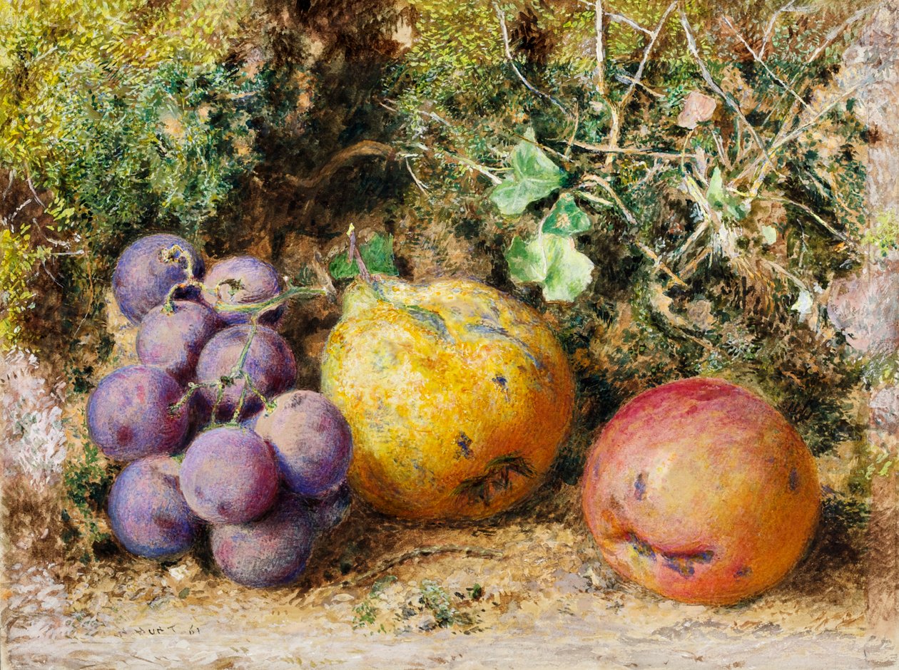 Black Grapes，Quince和Newtown Pippin，1861年（卡片上的wc） 作者 威廉·亨利·亨特