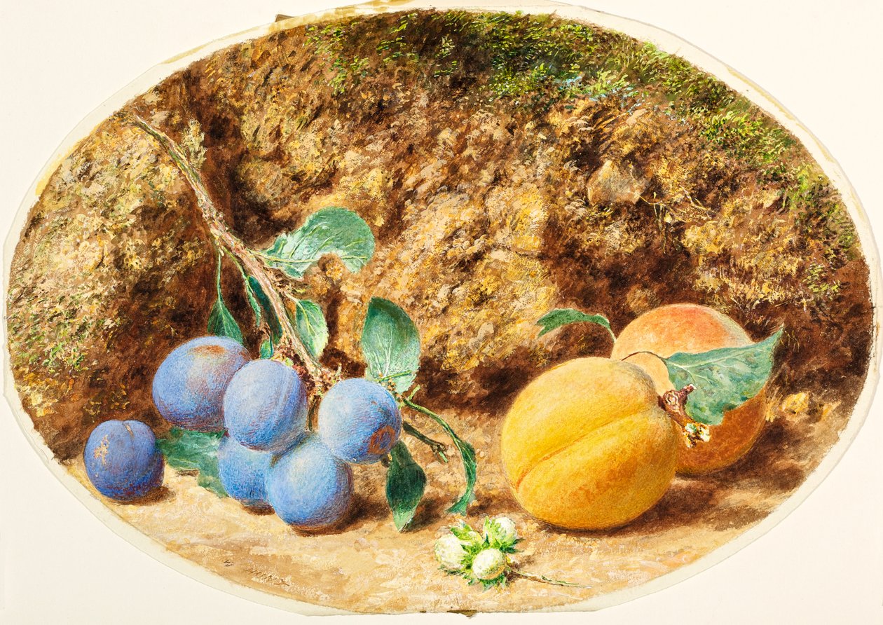 紫李子，杏子和木头，1860 作者 威廉·亨利·亨特