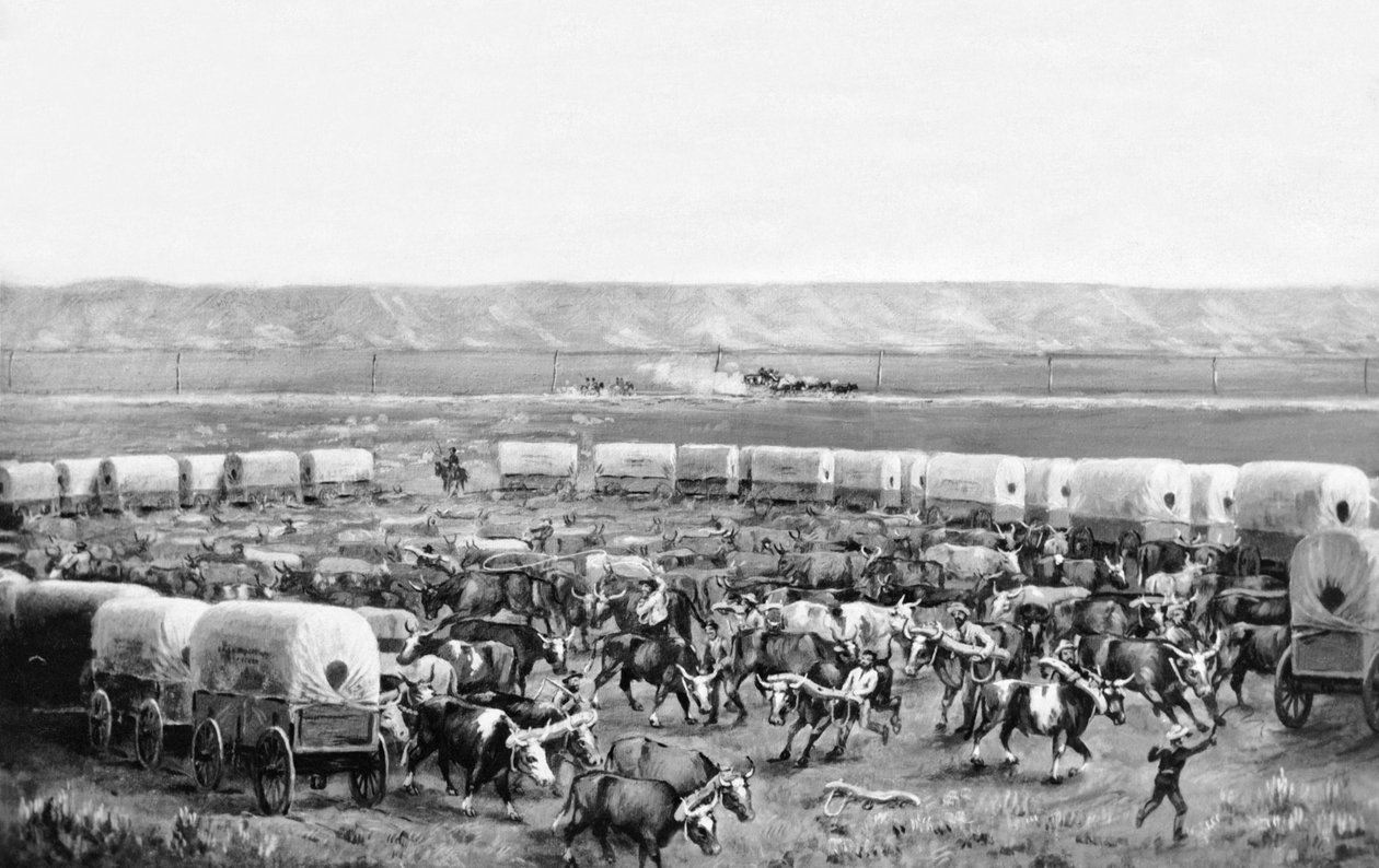 Oxen being yoked up in a corral of covered wagons in a painting by W. H. Jackson, Scotts Bluff, Nebraska: c. 1875 作者 威廉·亨利·杰克逊