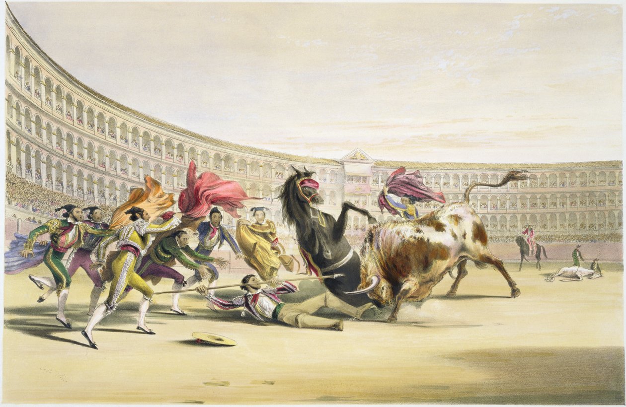 1865年在危险中的Picador 作者 威廉·亨利·莱克·普莱斯