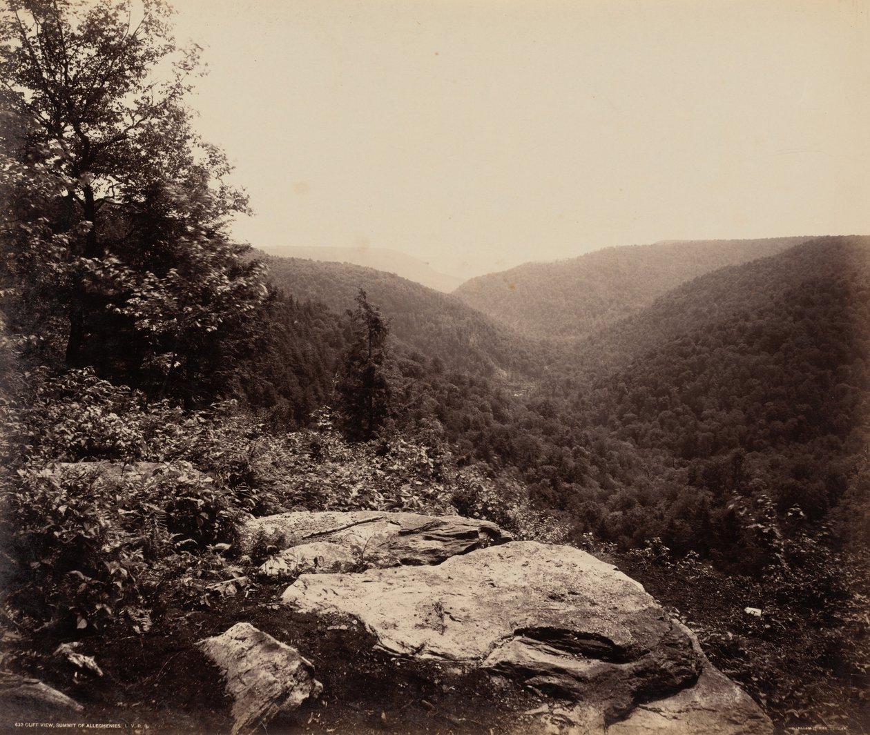 悬崖景观，阿勒格尼山顶，约 1895 年（照片1895 年（照片） 作者 威廉·赫尔曼·劳