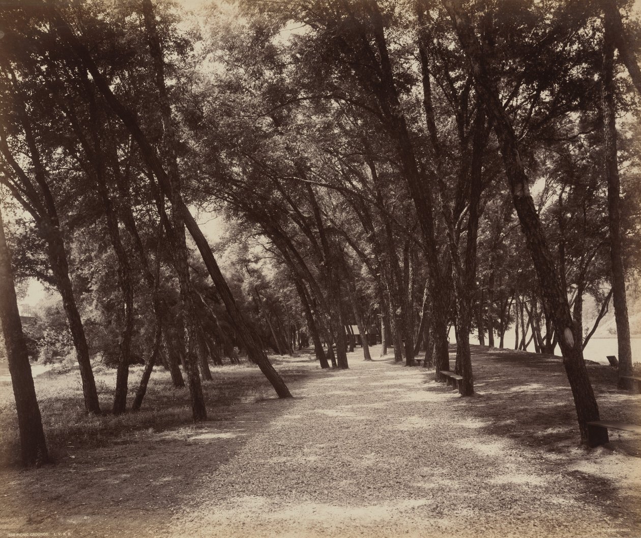 野餐场地，约 1895 年（照片1895 年（照片） 作者 威廉·赫尔曼·劳