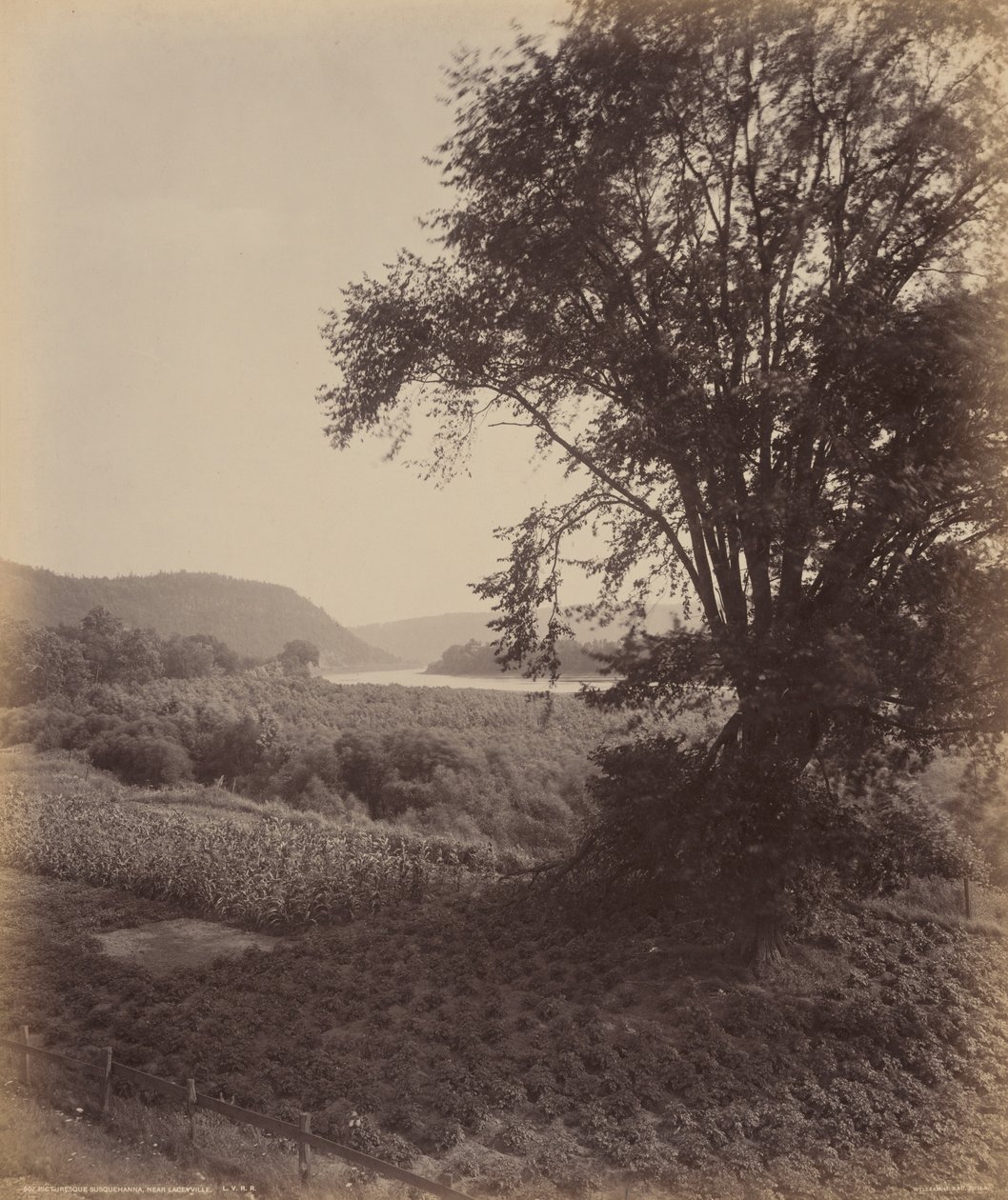 风景如画的苏珊娜，莱西维尔附近，约 1895 年（照片） 作者 威廉·赫尔曼·劳