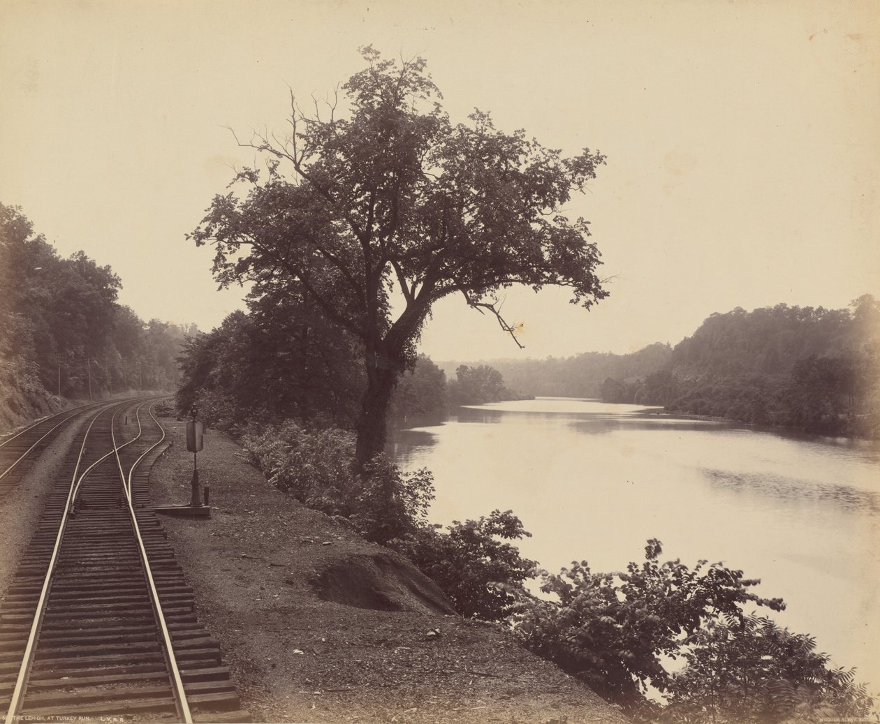 利哈伊河，在火鸡跑，约 1895 年（照片1895 年（照片） 作者 威廉·赫尔曼·劳
