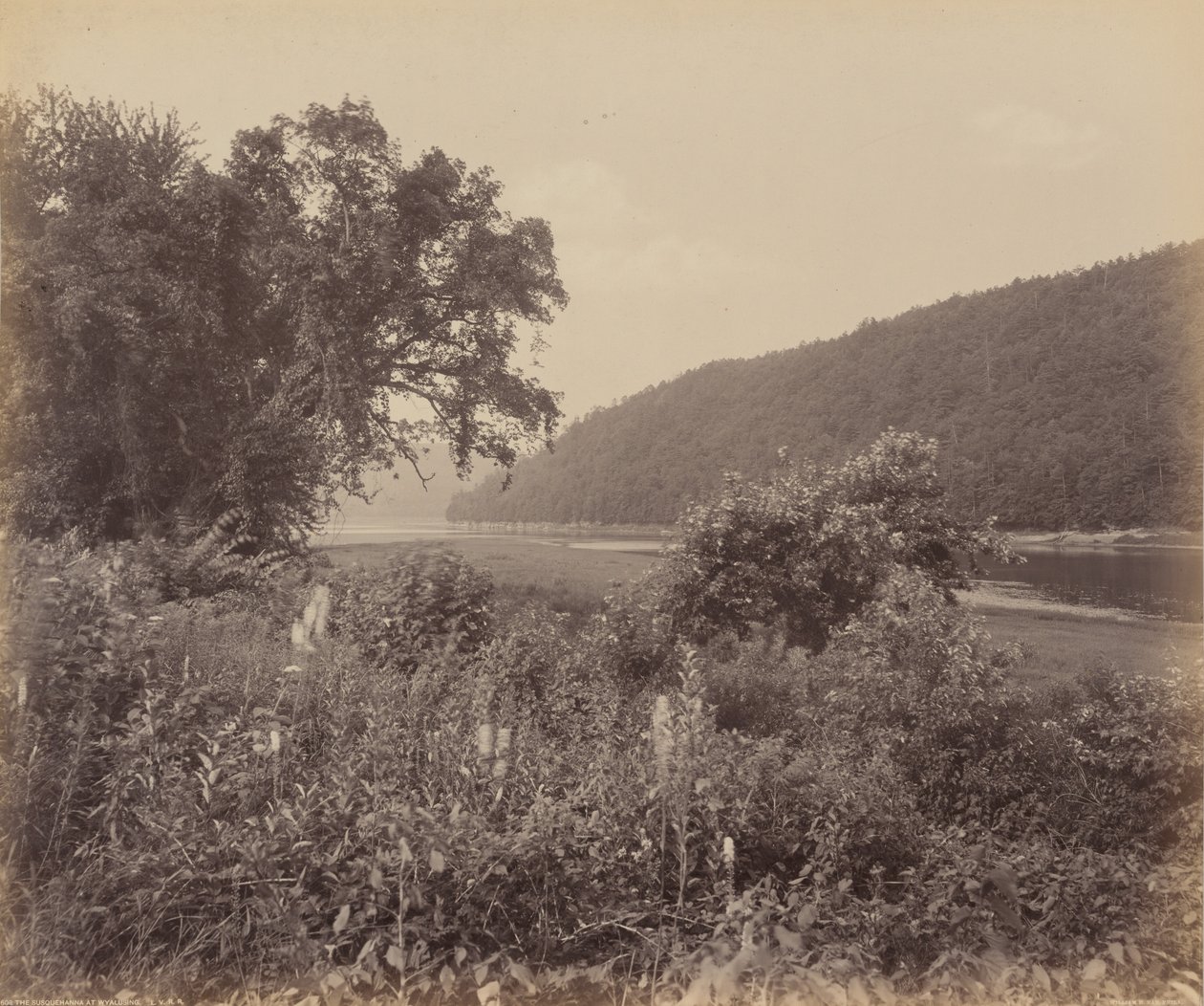约 1895 年，怀亚灵的苏斯奎汉纳河（The Susquehanna At Wyalusing1895 年（照片） 作者 威廉·赫尔曼·劳