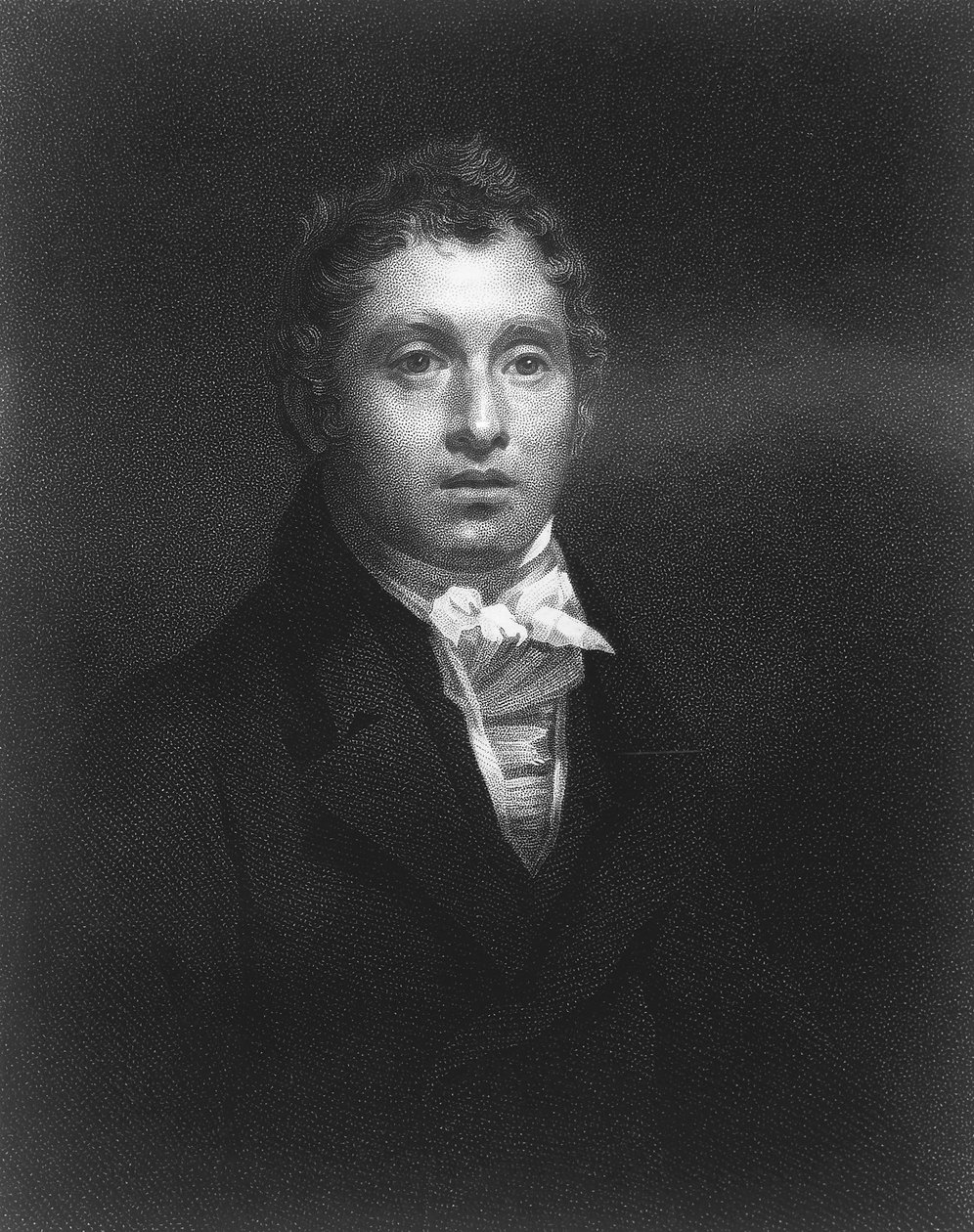 苏格兰物理学家戴维·布鲁斯特爵士（Sir David Brewster），1800年代 作者 威廉·霍尔